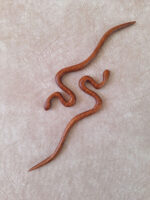 پین مو چوبی | طرح رایا - Image 3