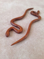 کانزاشی رایا