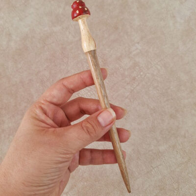 کانزاشی قارچی