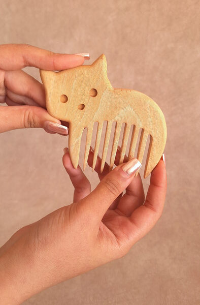 شانه پیشی