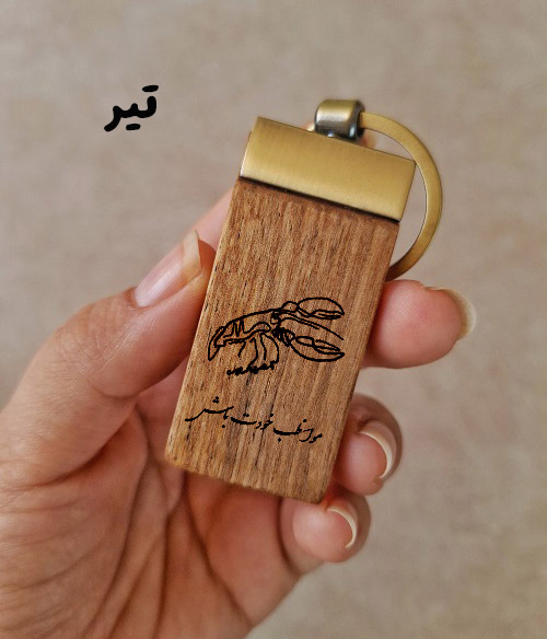 تیر