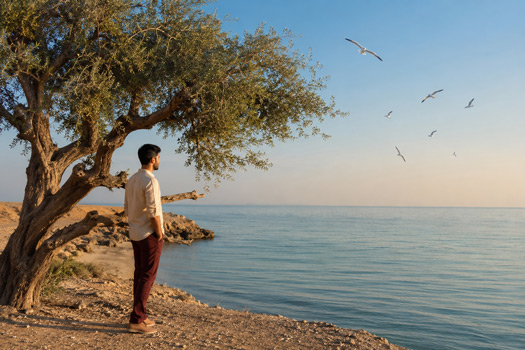 درخت کهور